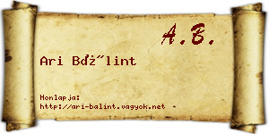 Ari Bálint névjegykártya
